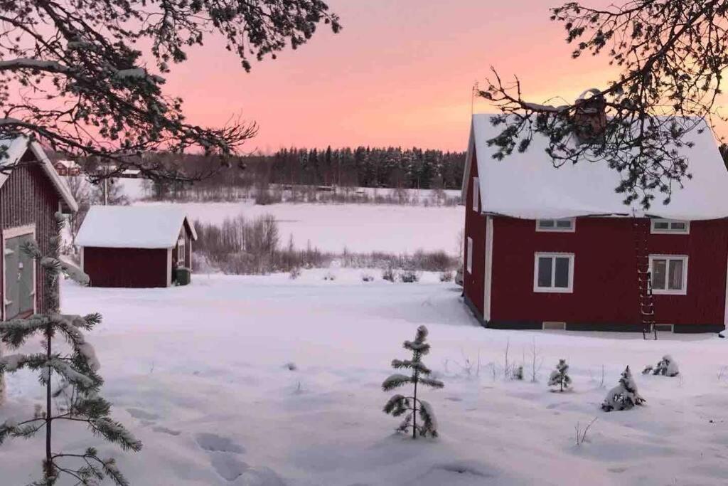 Cozy Home With Lake View-Free Wifi - Free Sauna Överkalix Extérieur photo